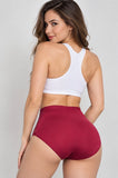 Lace Panel Full Brief Panty 69057 (Pack of 6)