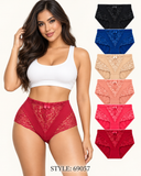 Lace Panel Full Brief Panty 69057 (Pack of 6)