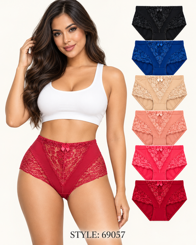 Lace Panel Full Brief Panty 69057 (Pack of 6)