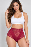 Lace Panel Full Brief Panty 69057 (Pack of 6)