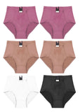 Floral Embroidered Shaping Brief with zipper Pocket travel (Pack of 6)