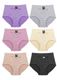 Floral Embroidered Shaping Brief with zipper Pocket travel (Pack of 6)
