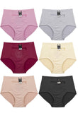 Floral Embroidered Shaping Brief with zipper Pocket travel (Pack of 6)